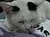 View full size picture