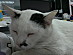View full size picture