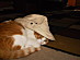 View full size picture