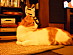 View full size picture