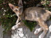 View full size picture