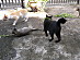 View full size picture