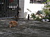 View full size picture