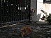 View full size picture