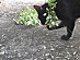 View full size picture
