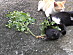 View full size picture