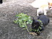 View full size picture