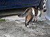 View full size picture