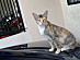 View full size picture