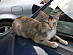 View full size picture