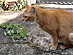 View full size picture