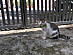View full size picture