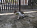 View full size picture