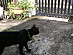 View full size picture