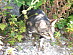 View full size picture