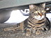 View full size picture
