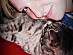 View full size picture