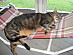 View full size picture