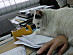 View full size picture