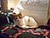View full size picture