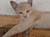View full size picture