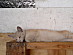 View full size picture