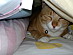View full size picture