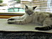 View full size picture