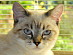 View full size picture