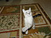View full size picture