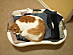 View full size picture
