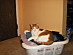 View full size picture