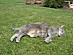 View full size picture