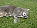 View full size picture