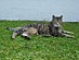 View full size picture