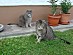 View full size picture