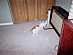 View full size picture