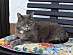 View full size picture