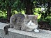 View full size picture