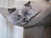 View full size picture