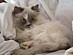 View full size picture