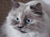 View full size picture