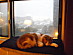 View full size picture