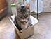 View full size picture