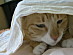 View full size picture