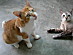 View full size picture