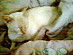 View full size picture