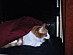 View full size picture