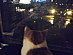 View full size picture