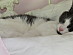 View full size picture